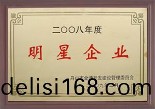 2008年度明星企(qi)業