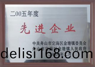 2005年度(du)先(xian)進(jin)企業