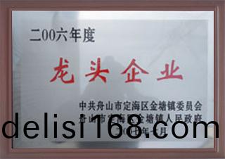 2006年度龍(long)頭企(qi)業(ye)