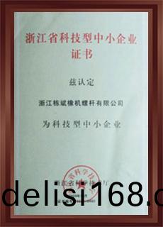 淛(zhe)江省科技(ji)型中(zhong)小(xiao)企業證書(shu)